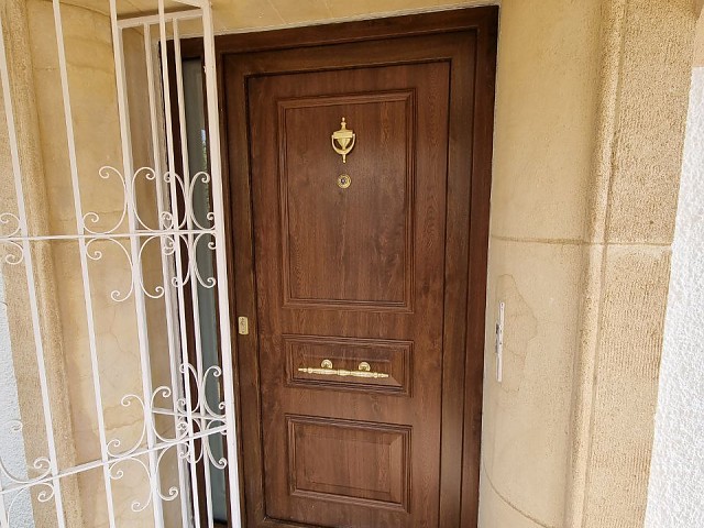 Decorative imitation wood door